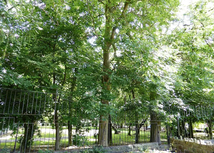 Old Vicarage Hotel Leeds 